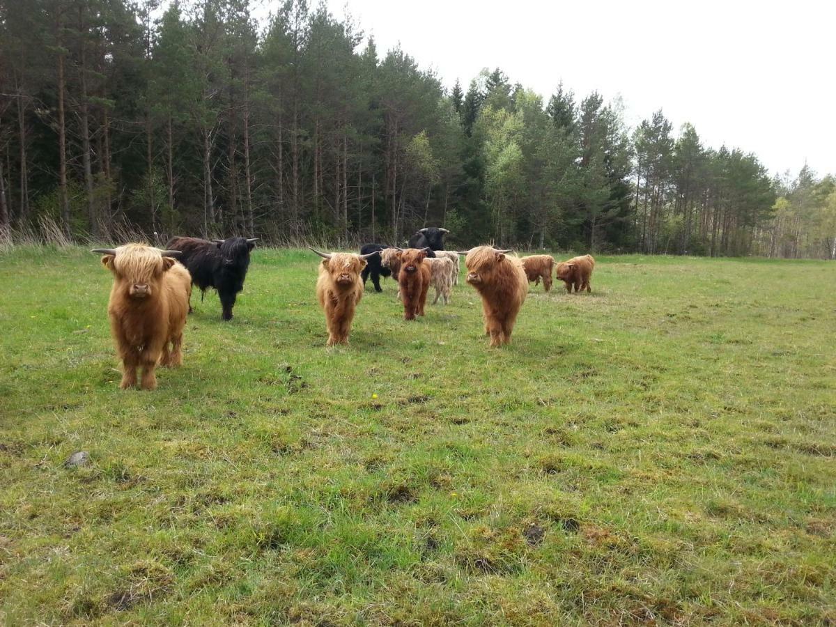 Ranna Villa Farm Kudema Dış mekan fotoğraf