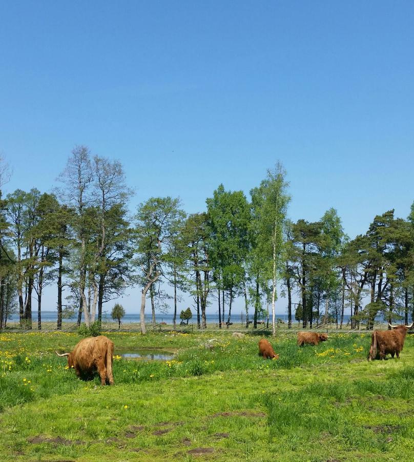 Ranna Villa Farm Kudema Dış mekan fotoğraf